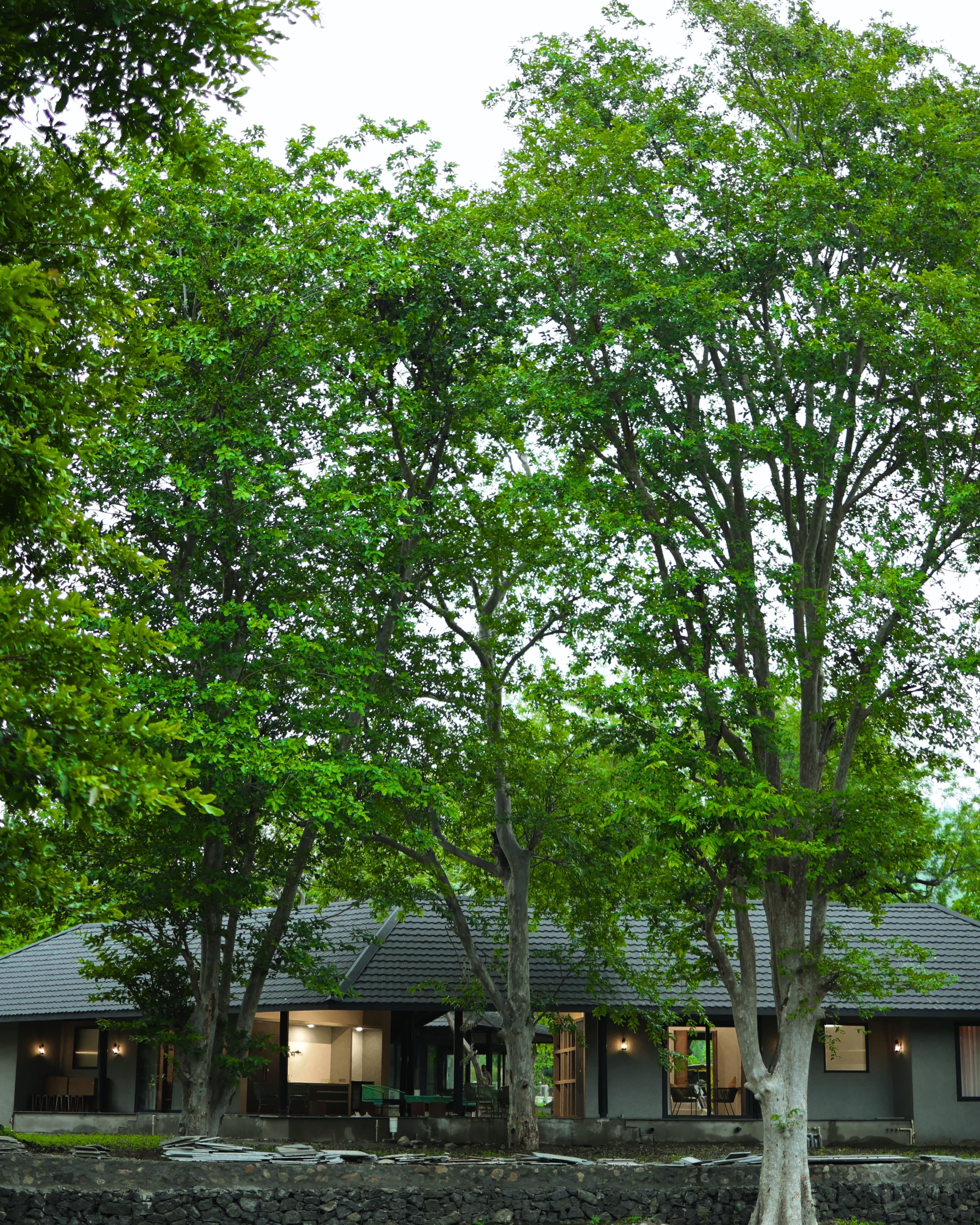 Trails of Teak Resort Architecture