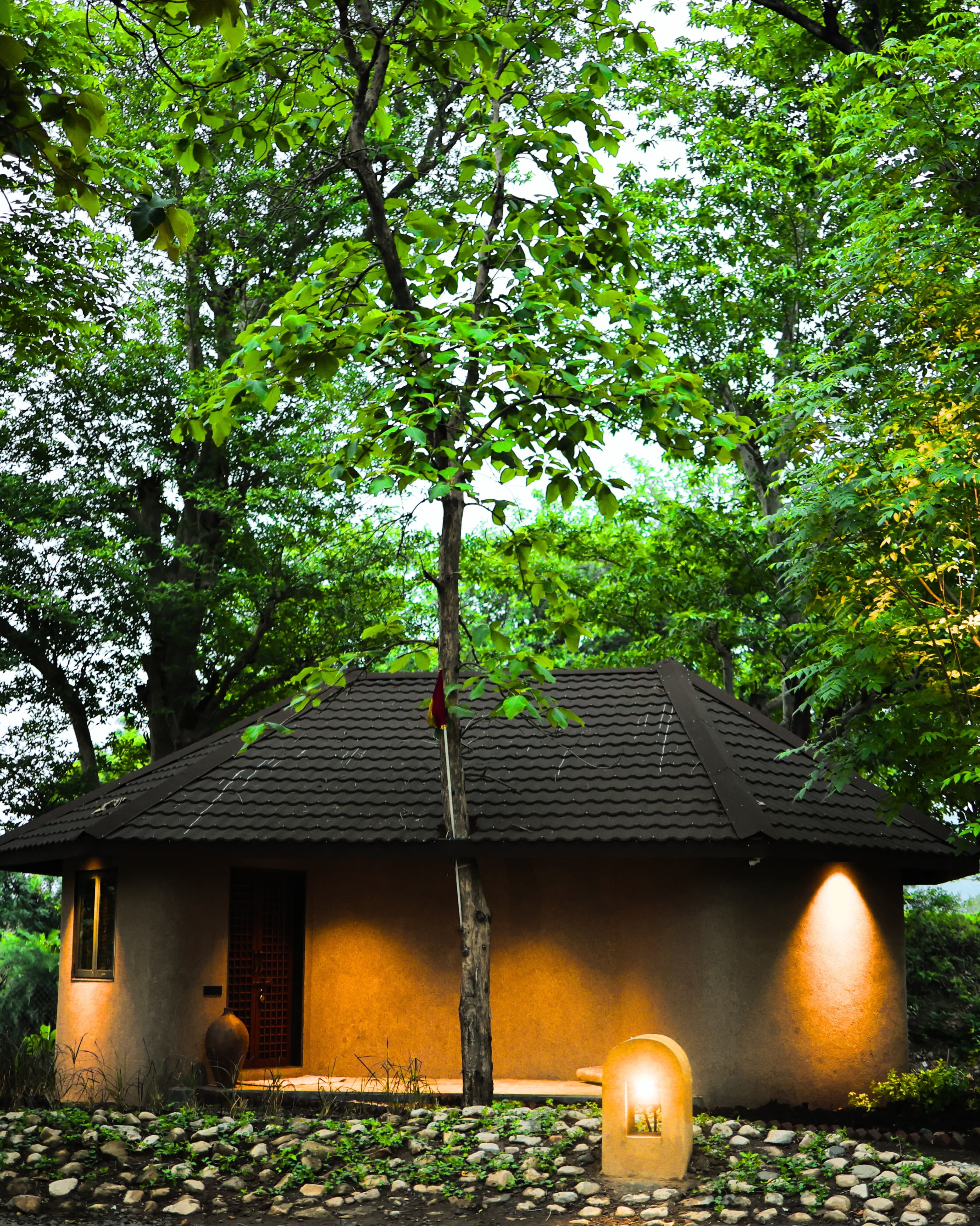 About Trails of Teak