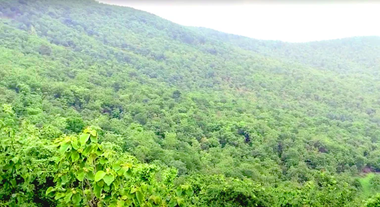 Janapav Hill